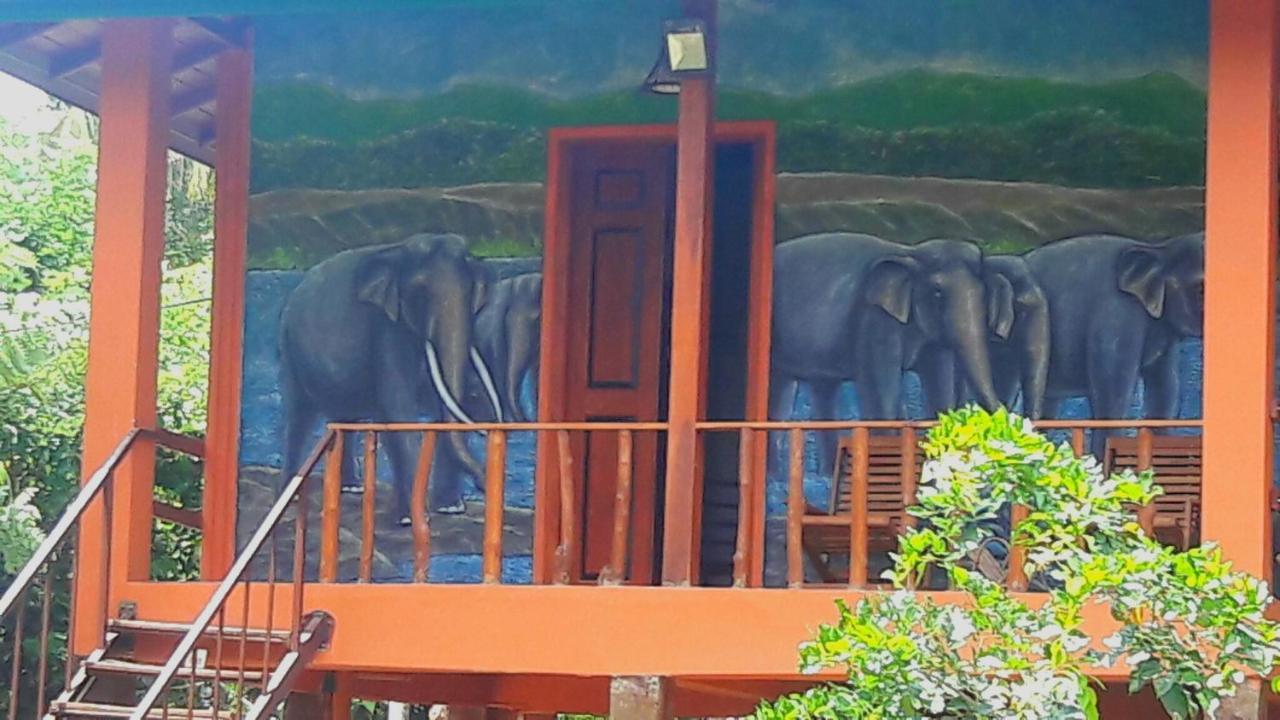 Luck Uyana Cabana Pinnawala 外观 照片